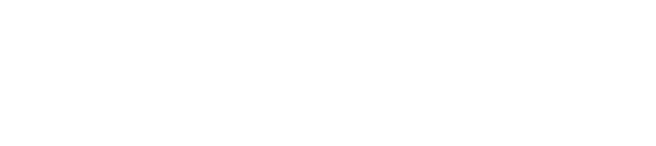 SINATTICA - Servizi evoluti per l'azienda